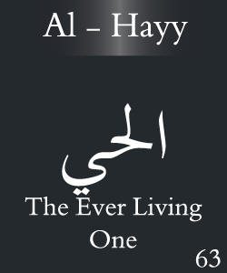 Al Hayy